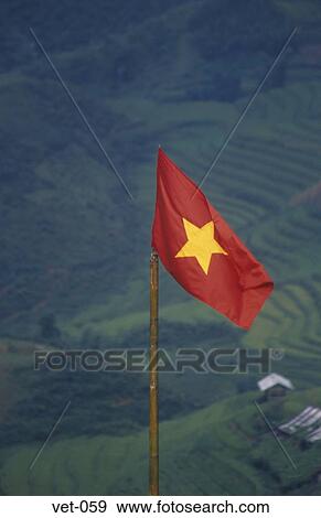 Vietnamese Flag Vietnam View Large Photo Image Stock Photo - Vietnamese Flag Vietnam. Fotosearch