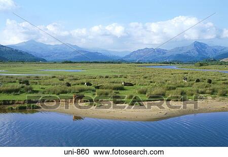 View of Penrhyndeudraeth Wales UK View Large Photo Image Stock Image - View of Penrhyndeudraeth Wales UK. Fotosearch