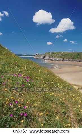 Stock Photo - View of Three Cliffs Bay Gower Wales UK. Fotosearch