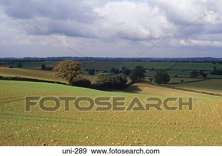 View over Northamptionshire Countryside UK View Large Photo Image Stock Photo - View over Northamptionshire Countryside UK. Fotosearch