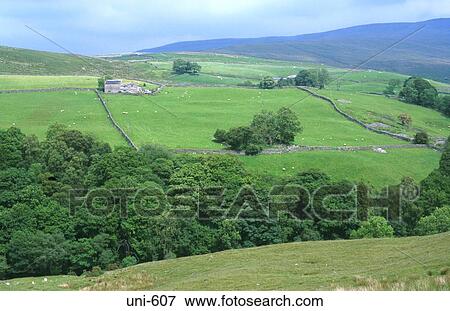 View over Yorkshire Dales UK View Large Photo Image Stock Photo - View over Yorkshire Dales UK. Fotosearch