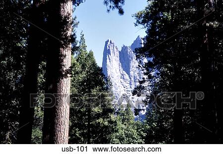 View through Trees of Cathedral Rocks Yosemite USA View Large Photo Image Stock Image - View through Trees of Cathedral Rocks Yosemite USA. Fotosearch