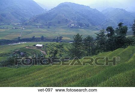 View through Valley of Terraced Fields Sapa Vietnam View Large Photo Image Stock Photo - View through Valley of Terraced Fields Sapa Vietnam. Fotosearch