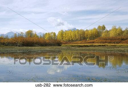 Wide River Grand Teton National Park USA View Large Photo Image Stock Image - Wide River Grand Teton National Park USA. Fotosearch