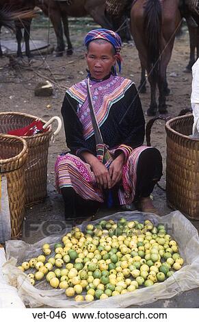 Woman Selling Fruit Bac Ha Market Vietnam Asia View Large Photo Image Stock Photograph - Woman Selling Fruit Bac Ha Market Vietnam Asia. Fotosearch