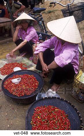 Stock Photo - Women Selling Chillies Vietnam Asia. Fotosearch
