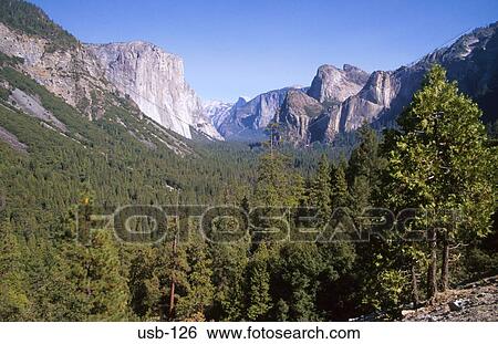 Stock Photograph - Wooded Gorge in Yosemite National Park USA. Fotosearch