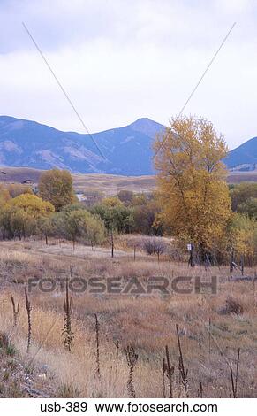 Woods and Hills Montana USA View Large Photo Image Stock Photo - Woods and Hills Montana USA. Fotosearch