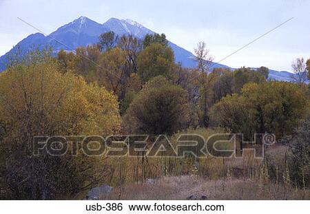 Stock Photograph - Woods and Mountains Montana USA. Fotosearch