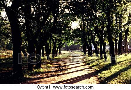 Areco, Avenue, Argentina, Andrea View Large Photo Image Stock Image - Areco, Avenue, Argentina, Andrea. Fotosearch