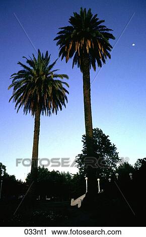 Argentina, EVENING, AMERICA View Large Photo Image Stock Image - Argentina, EVENING, AMERICA. Fotosearch