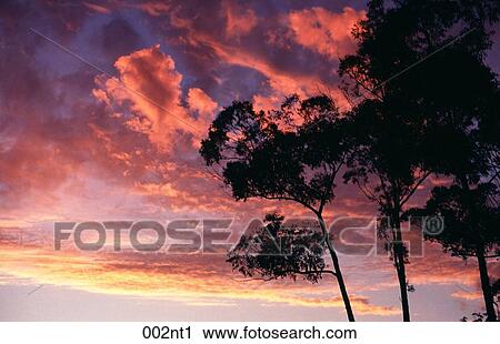Australia, CLOUDS, BLACK, against View Large Photo Image Stock Image - Australia, CLOUDS, BLACK, against. Fotosearch