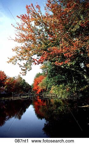 Bank, CHANGE, Autumn View Large Photo Image Stock Image - Bank, CHANGE, Autumn. Fotosearch