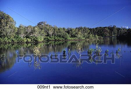 BANK, GREEN, BLUE, Australia View Large Photo Image Stock Image - BANK, GREEN, BLUE, Australia. Fotosearch