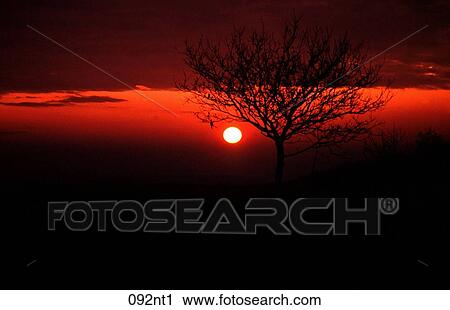 BLOOD, DUSK, DISC, against View Large Photo Image Stock Image - BLOOD, DUSK, DISC, against. Fotosearch
