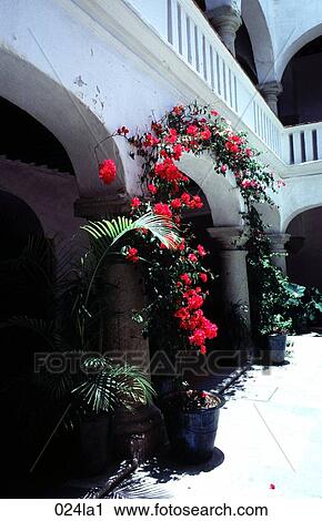ARCH, Building, ARCHITECTURE, AMERICA View Large Photo Image Stock Image - ARCH, Building, ARCHITECTURE, AMERICA. Fotosearch