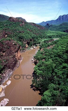 BROWN, FOREST, Copper, Canyon, AMERICA View Large Photo Image Stock Image - BROWN, FOREST, Copper, Canyon, AMERICA. Fotosearch