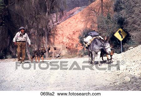 Dogs, Gaucho, Donkey, Argentina View Large Photo Image Stock Image - Dogs, Gaucho, Donkey, Argentina. Fotosearch