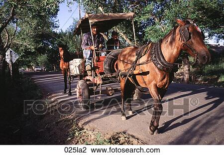 Mendoza, Road, Pony, Argentina View Large Photo Image Stock Image - Mendoza, Road, Pony, Argentina. Fotosearch