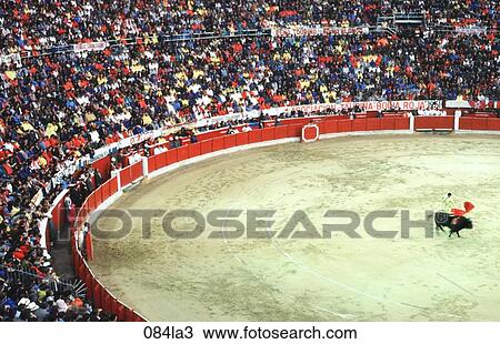 BLOOD, Bull, Bogota, AMERICA View Large Photo Image Stock Image - BLOOD, Bull, Bogota, AMERICA. Fotosearch