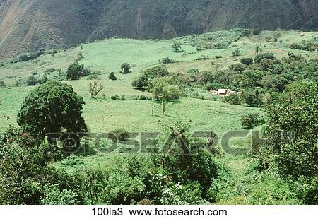 Stock Image - FARM, Landscape, GREEN, FIELDS, AMERICA. Fotosearch