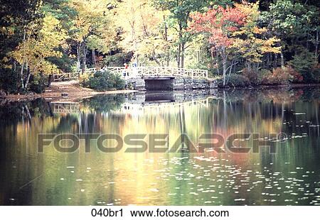 AUTUMN, Bridge, AMERICA View Large Photo Image Stock Image - AUTUMN, Bridge, AMERICA. Fotosearch