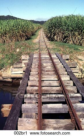 Bridge, Crossing, CROP, Cane, Australia View Large Photo Image Stock Image - Bridge, Crossing, CROP, Cane, Australia. Fotosearch