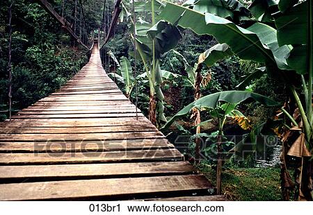 BRIDGE, ROPE, Philippines, Footbridge, ARCHITECTURE View Large Photo Image Stock Image - BRIDGE, ROPE, Philippines, Footbridge, ARCHITECTURE. Fotosearch