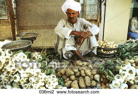 Aswan, GARLIC, FLOOR, Egypt, AFRICA View Large Photo Image Stock Image - Aswan, GARLIC, FLOOR, Egypt, AFRICA. Fotosearch