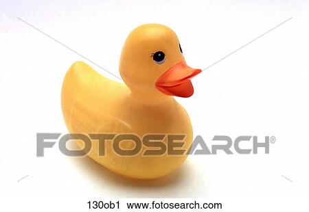BATH, Duck, BIRD, BATHROOM, ANIMAL View Large Photo Image Stock Image - BATH, Duck, BIRD, BATHROOM, ANIMAL. Fotosearch