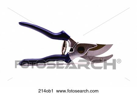 BLADE, CUT, GARDENING, HOBBY, HOUSEHOLD View Large Photo Image Stock Image - BLADE, CUT, GARDENING, HOBBY, HOUSEHOLD. Fotosearch