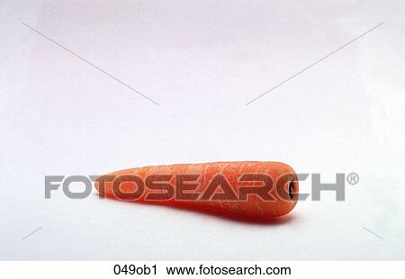 Carrot, FOOD, OBJECT, OBJECTS, ORANGE View Large Photo Image Stock Image - Carrot, FOOD, OBJECT, OBJECTS, ORANGE. Fotosearch