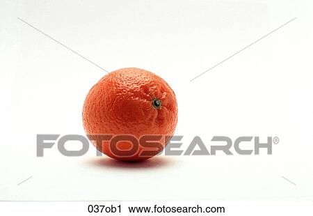 CITRUS, FOOD, FRUIT, OBJECT, OBJECTS View Large Photo Image Stock Image - CITRUS, FOOD, FRUIT, OBJECT, OBJECTS. Fotosearch