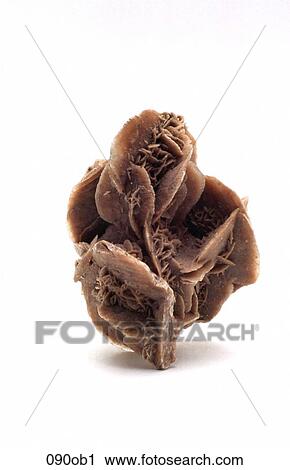 CRYSTAL, DESERT, FLOWER, GEOLOGY, OBJECTS View Large Photo Image Stock Image - CRYSTAL, DESERT, FLOWER, GEOLOGY, OBJECTS. Fotosearch