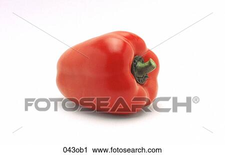 FOOD, OBJECT, OBJECTS, Pepper, Red View Large Photo Image Stock Image - FOOD, OBJECT, OBJECTS, Pepper, Red. Fotosearch