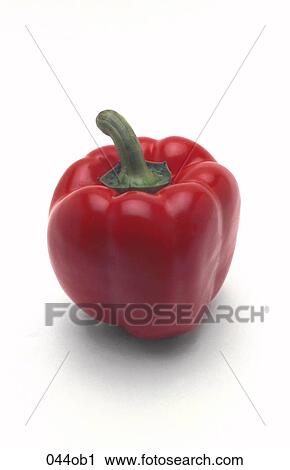 FOOD, OBJECT, OBJECTS, Pepper, Red View Large Photo Image Stock Image - FOOD, OBJECT, OBJECTS, Pepper, Red. Fotosearch