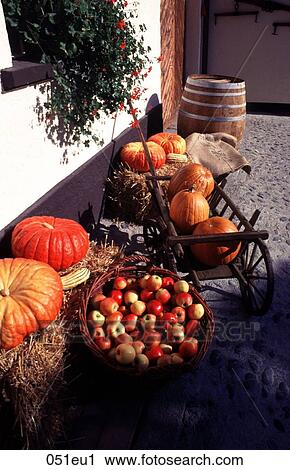 APPLE, AUTUMN, Apples, AGRICULTURE View Large Photo Image Stock Image - APPLE, AUTUMN, Apples, AGRICULTURE. Fotosearch