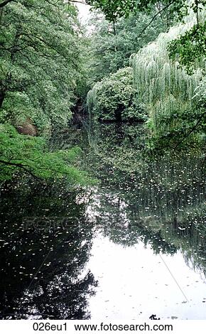 Stock Image - Berlin, EUROPE, Germany, NATURE. Fotosearch