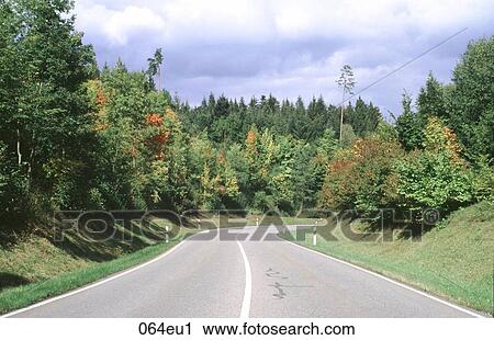 Black, Country, EUROPE, Forest, Germany View Large Photo Image Stock Image - Black, Country, EUROPE, Forest, Germany. Fotosearch