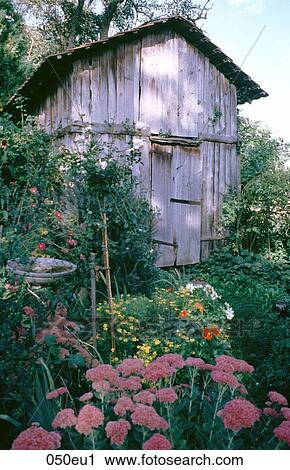 DOMESTIC, EUROPE, FLOWER, Garden View Large Photo Image Stock Image - DOMESTIC, EUROPE, FLOWER, Garden. Fotosearch