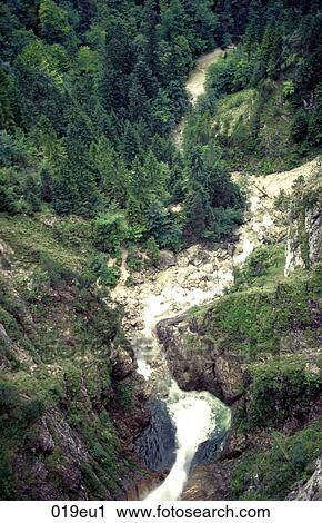 EUROPE, Forest, Germany, Gorge, HOHENSCHWANGAU View Large Photo Image Stock Image - EUROPE, Forest, Germany, Gorge, HOHENSCHWANGAU. Fotosearch