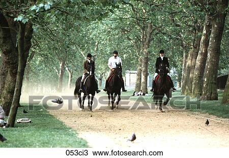 AVENUE, Galloping, GALLOP, ENGLAND, ANIMAL View Large Photo Image Stock Image - AVENUE, Galloping, GALLOP, ENGLAND, ANIMAL. Fotosearch