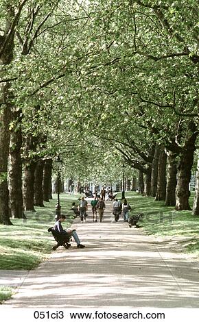 ENGLAND, London, James, Avenue View Large Photo Image Stock Image - ENGLAND, London, James, Avenue. Fotosearch