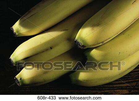 Bananas View Large Photo Image Stock Image - Bananas. Fotosearch