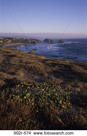 Bandon State Park, Oregon, USA View Large Photo Image Picture - Bandon State Park, Oregon, USA. Fotosearch