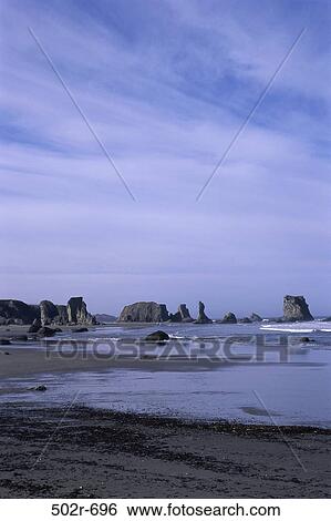 Bandon State Park, Oregon, USA View Large Photo Image Stock Photograph - Bandon State Park, Oregon, USA. Fotosearch