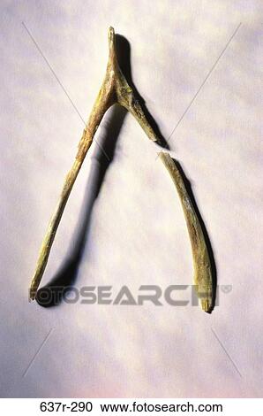 broken, luck, metaphor, lucky, bone, break, wish View Large Photo Image Stock Image - broken, luck, metaphor, lucky, bone, break, wish. Fotosearch