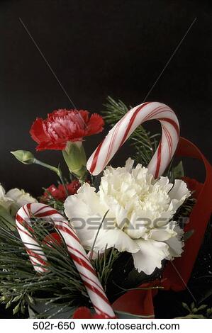 candy, Christmas, flowers, arrangement, decorations, flower arrangement, carnations View Large Photo Image Stock Image - candy, Christmas, flowers, arrangement, decorations, flower arrangement, carnations. Fotosearch