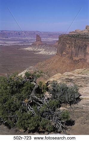 Canyonlands National Park, Utah, USA View Large Photo Image Stock Image - Canyonlands National Park, Utah, USA. Fotosearch