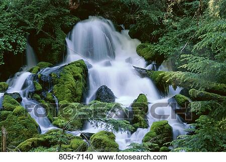 Clearwater Falls, Oregon, USA View Large Photo Image Stock Image - Clearwater Falls, Oregon, USA. Fotosearch